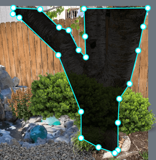 Adjust image settings